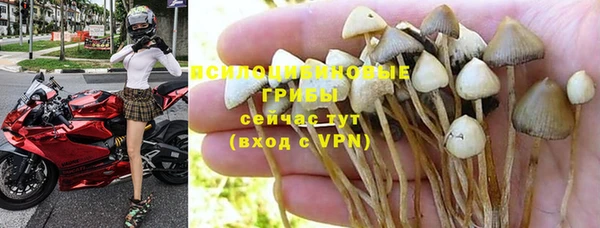 PSILOCYBIN Алексеевка