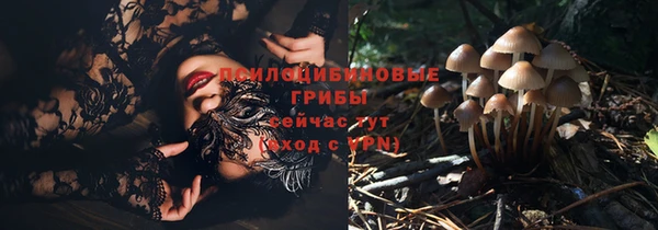 мдпв Дмитриев